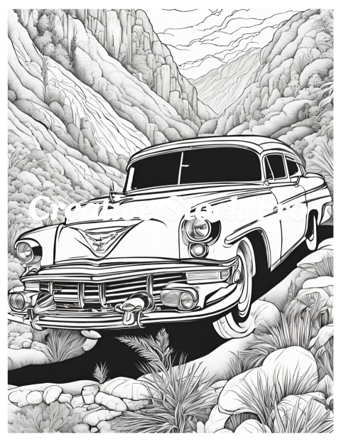 Rally Car Coloring Pages for Adults