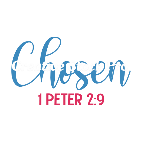 Chosen 1 Peter 2 9 (2)